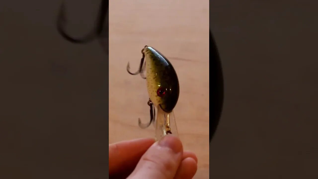 BRAND NEW lures found while lure Hunting! (Full Video in comments)