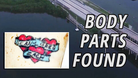 Tampa Police Divers Find Body Parts In McKay Bay Friday