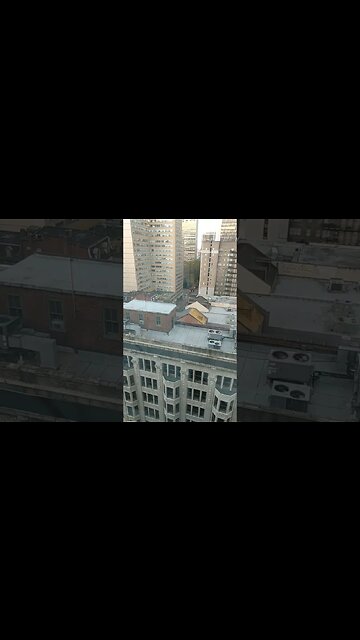 Philadelphia Marathon Weekend. Saturday short run b4. Tomorrow's big run