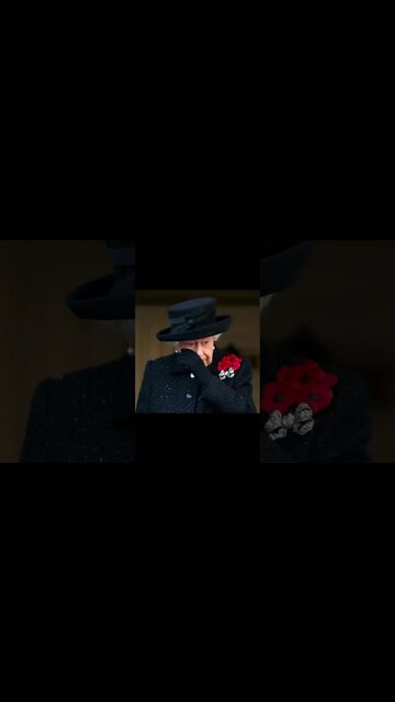 Breaking News The Queen is Unable to Attend the Remembrance Day Ceremony! #shorts