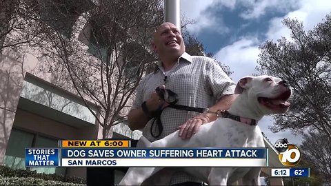 Dog saves owner suffering 'widow-maker' heart attack