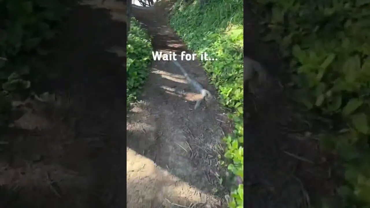 Wait For It…Location Shared on Patreon! FREE 7 DAY TRIAL!: https://www.patreon.com/careyonvagabond