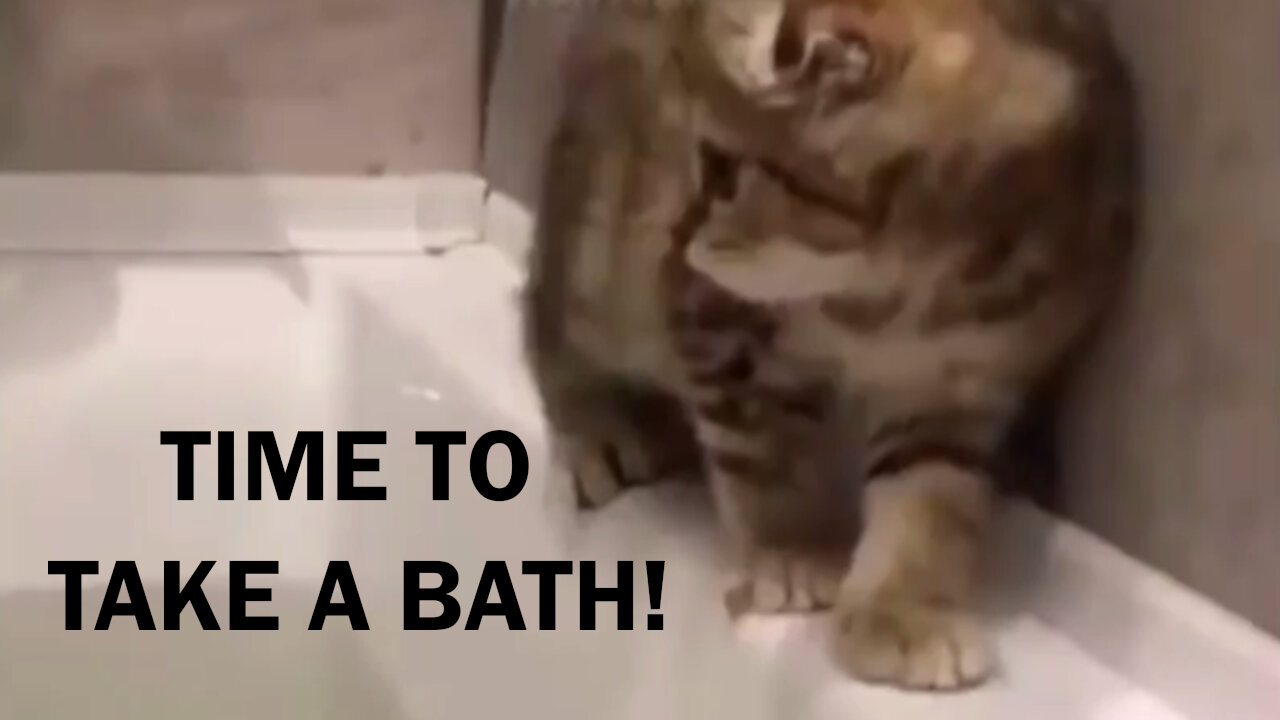 It's time to take a bath!