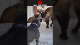 TRETAS INTERNAS