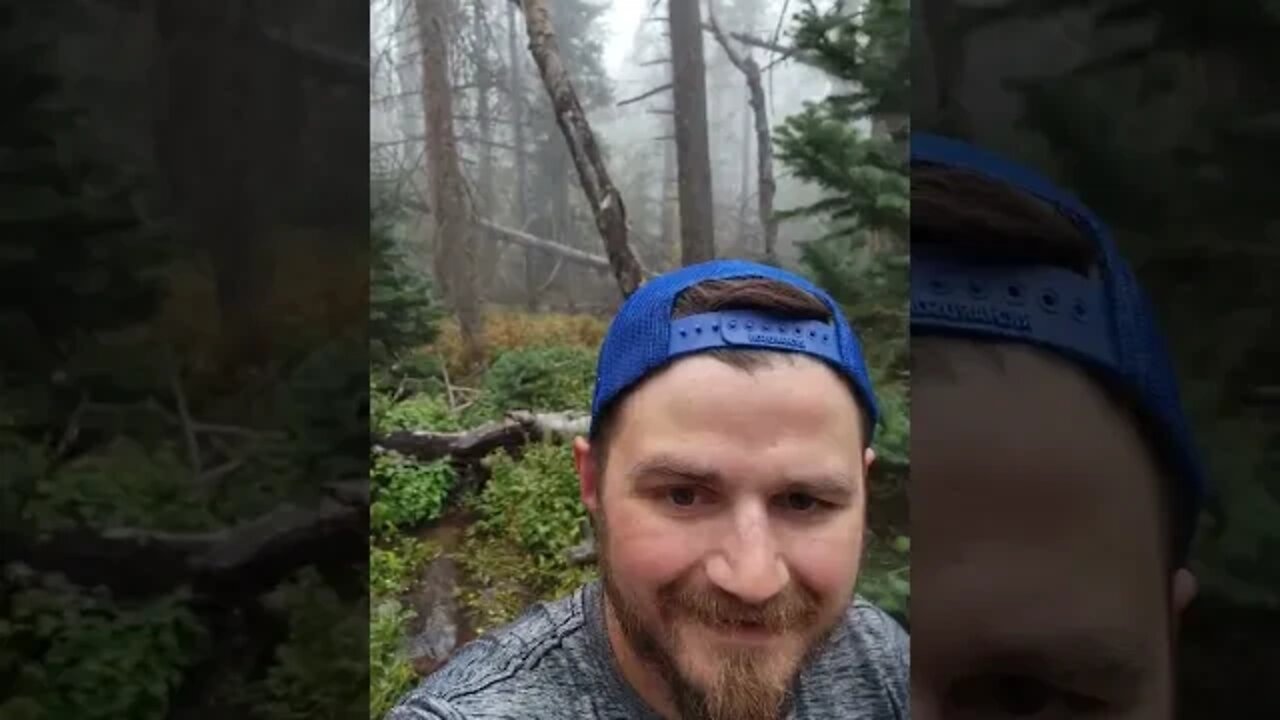 Mt. Shavano & Tabeguache #mountains #hiking #vlog #puppy #doglife