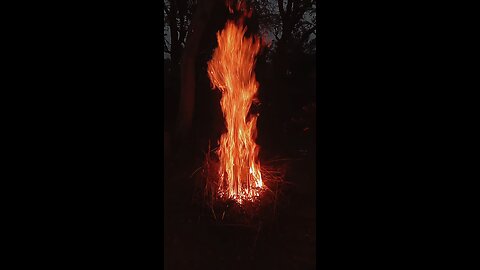सर्दी से बचने के लिए अलाव तपते