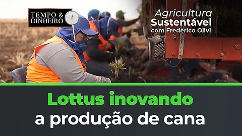 Lottus Inovando na Produção de Cana