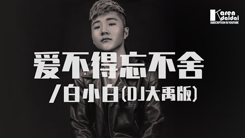 白小白 - 愛不得忘不捨【DJ大禹版】