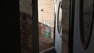 Who's that scratching at my door?