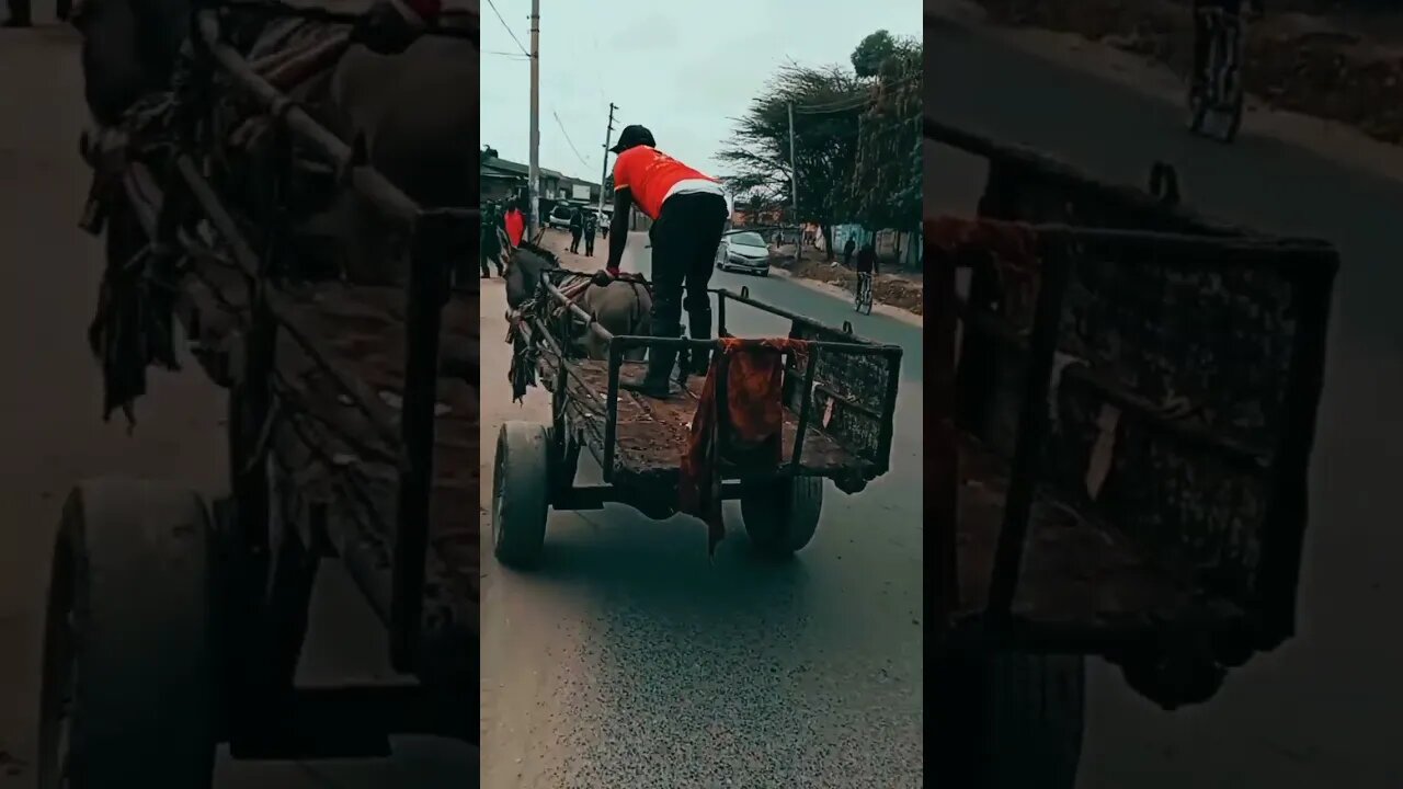 I met a donkey 🐴 carriage on the road today 🔥🔥💥 #shorts #bike #video