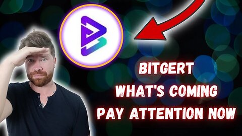 Bitgert "BRISE" What Is Happening NOW?
