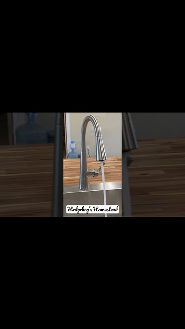 We have Water #hedgehogshomestead