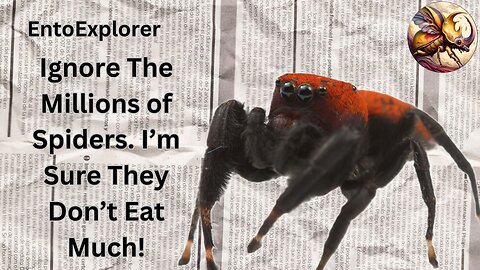 Joro Spider Madness News - Invasive spiders in the U.S. as a failure of government and universities