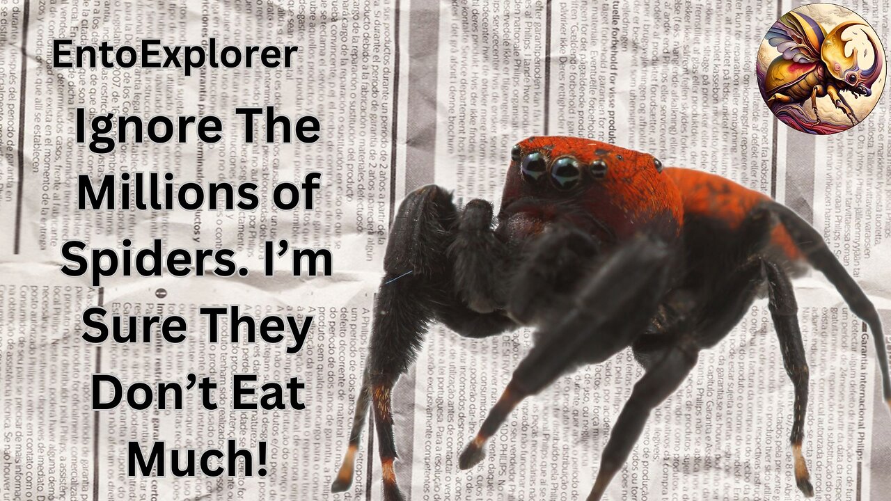 Joro Spider Madness News - Invasive spiders in the U.S. as a failure of government and universities