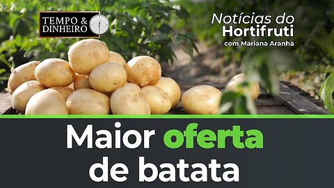 Maior oferta de batata mesmo com período de entressafra