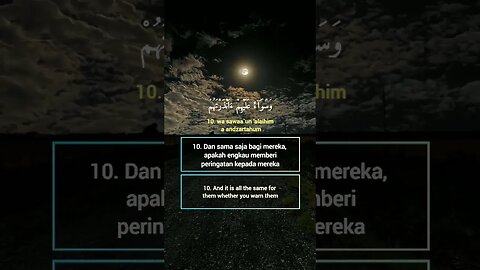 Surah Yasiin Ayat 10 . #alquran #quran #murottal