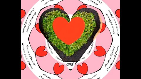 Plantei o seu amor [Frases e Poemas]