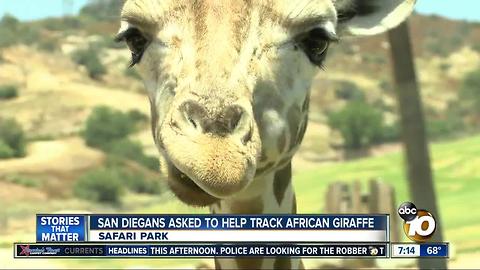 San Diegans asked to help track African giraffe