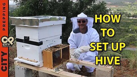 How to set up a beehive