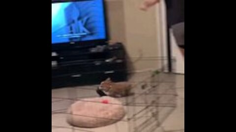 I'm fast boiiii