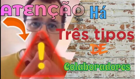 Há 3 tipos de Colaboradores