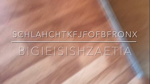Schlahchtkfjfofbfronx - Bigieisishzaetia