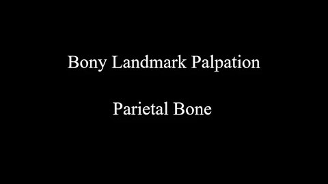 Bony Landmark Palpation - Parietal Bone (Skull)