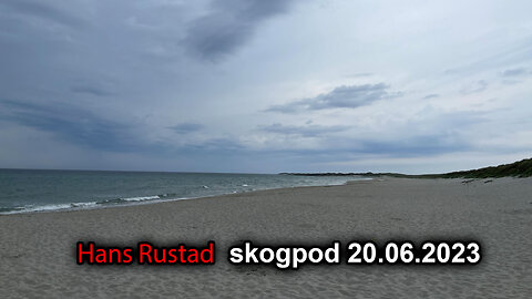 Skogpod 20. juni 2023