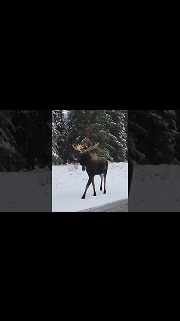 How Beautiful Is This