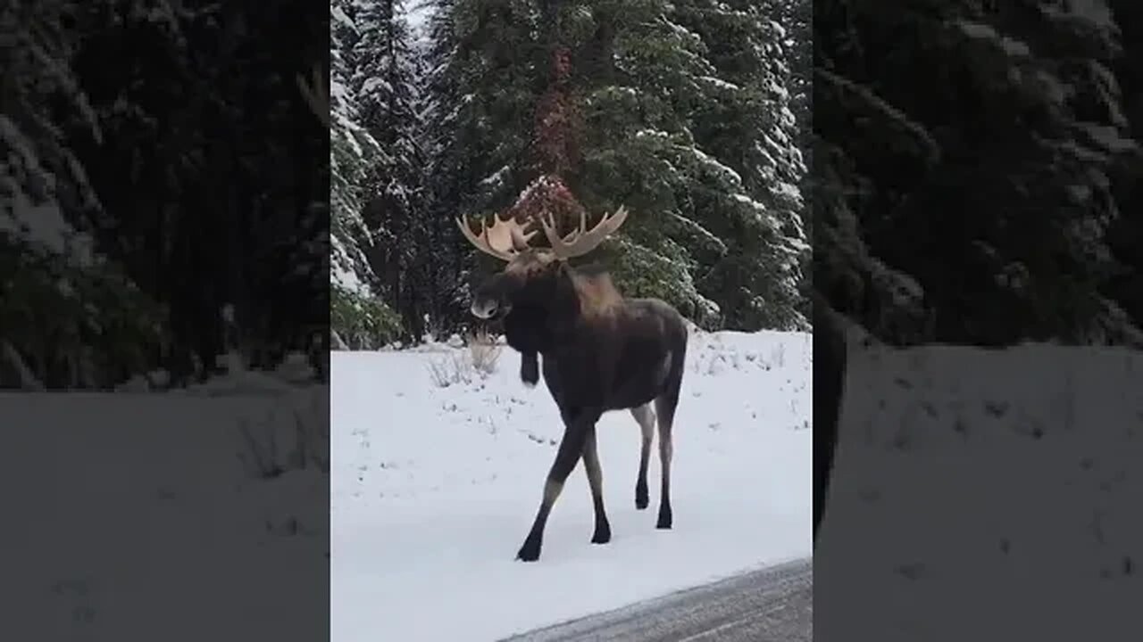 How Beautiful Is This