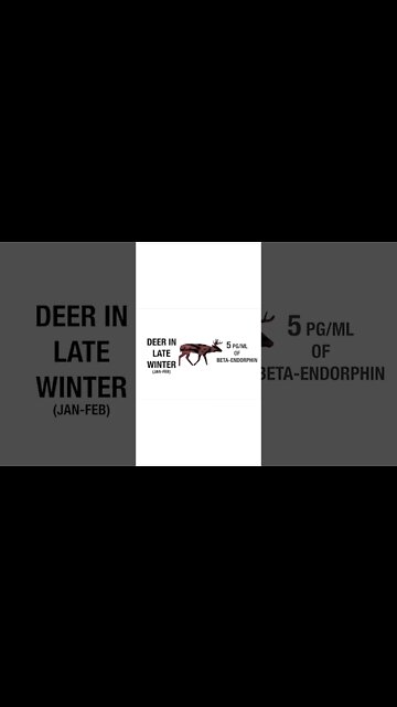 Beta Endorphins in deer #shorts #deer #deerhunting