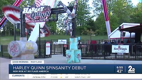 Harley Quinn Spinsanity Debut