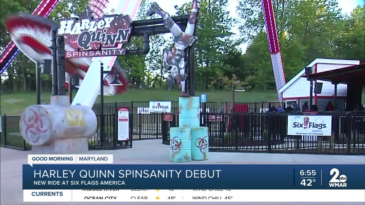 Harley Quinn Spinsanity Debut