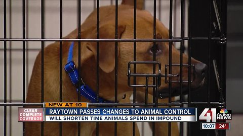 Raytown cuts animal impound time in half