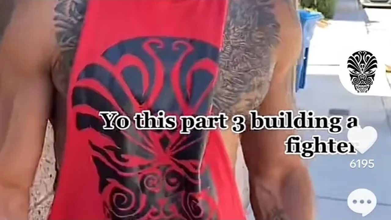 Building a boxer pt 3