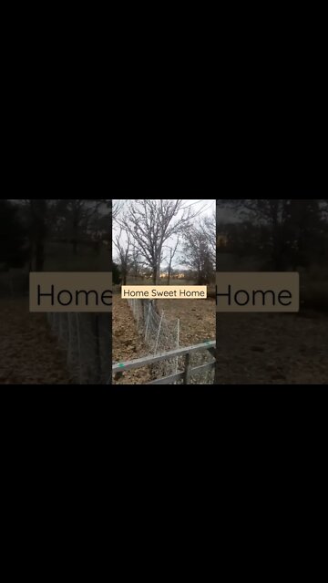 Having a Attitude of Gratitude