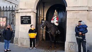 Tourist pulls on the Reins #horseguardsparade
