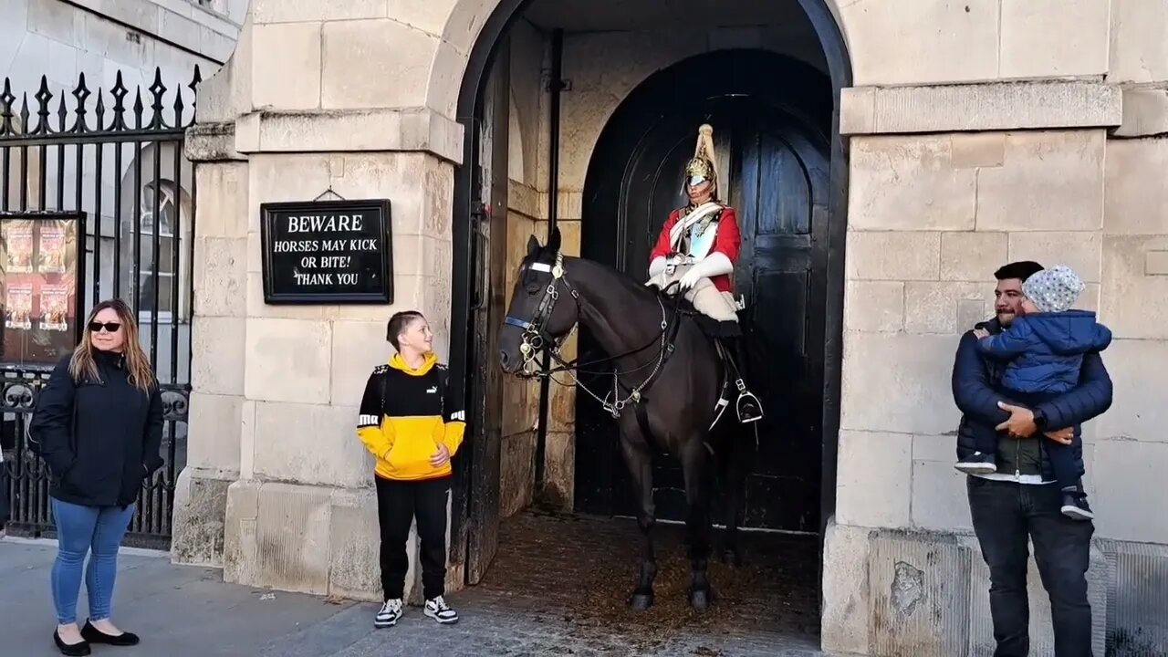 Tourist pulls on the Reins #horseguardsparade