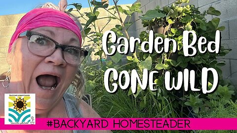 Garden Bed GONE WILD