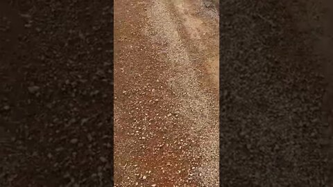 On the new property￼