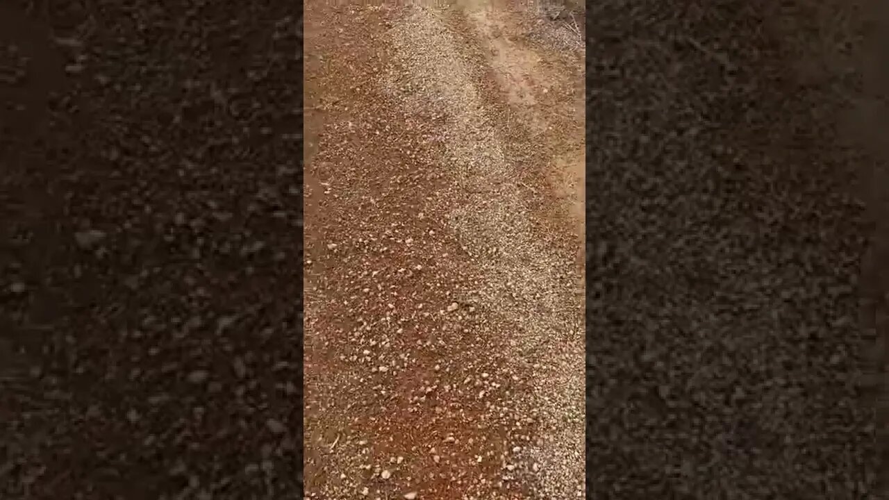 On the new property￼