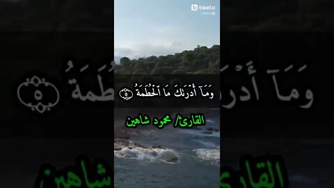 تلاوة من القرآن الكريم صوت مؤثيرة بيكي