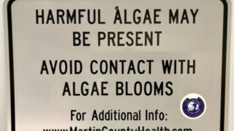 Three Martin County beaches closed to swimming due to blue-green algae