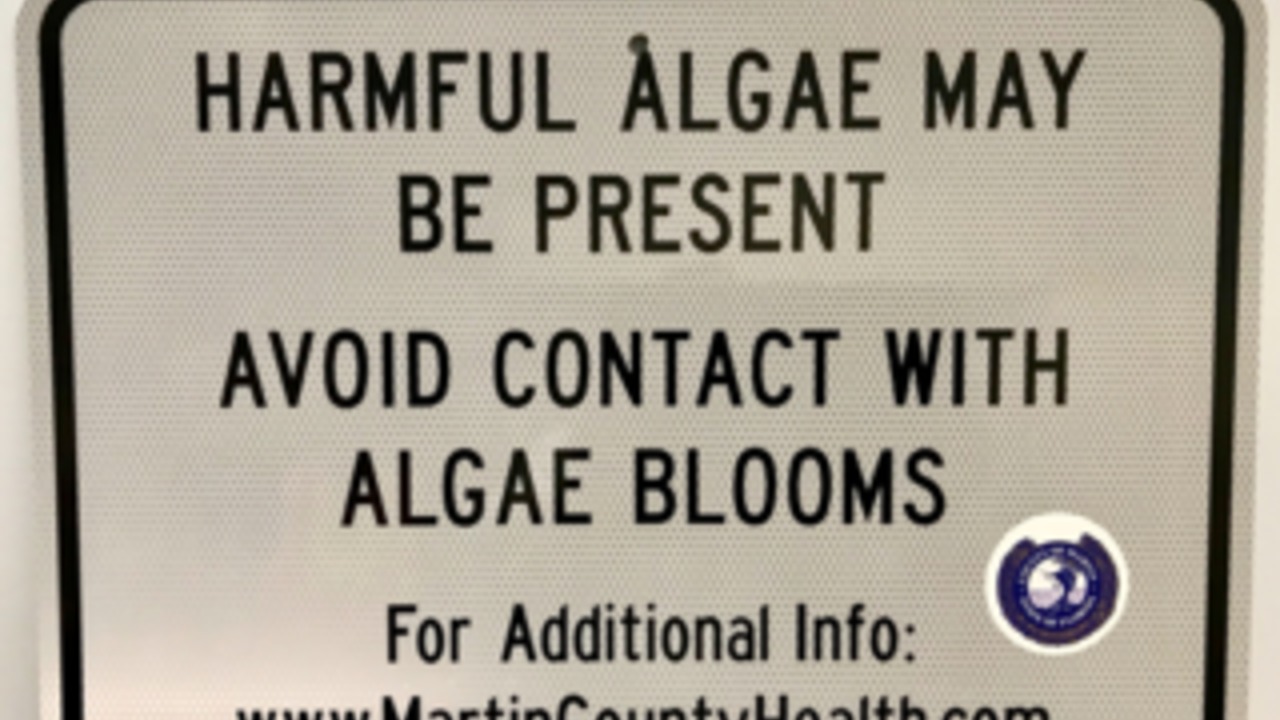 Three Martin County beaches closed to swimming due to blue-green algae