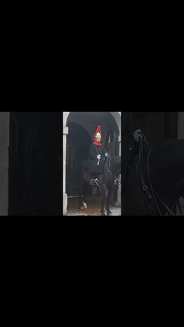 Tourist looks shocked the guard yanks the Reins out of her hands #thekingsguard