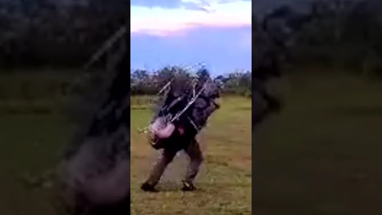 Paramotor | Faceplant | Will Fly | A Paramotor Journey| PPG | WillFly PPG