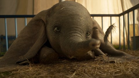‘Dumbo’ Pull In $47 Million During Opening