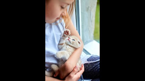 Little and decorated kittens that all innocence and beauty