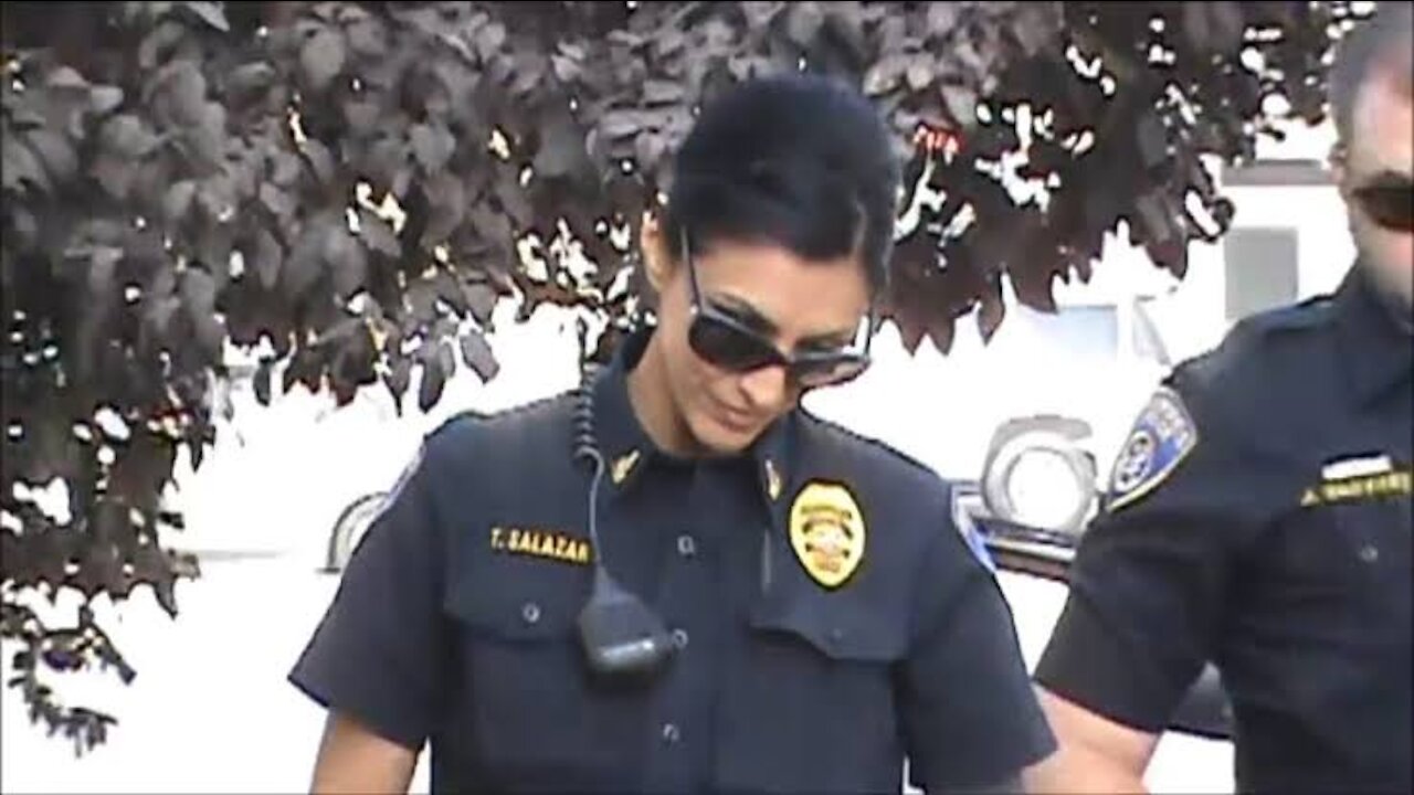Making a Complaint on a Berserk Police Officer Honolulu Police Department
