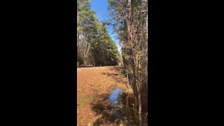 Riceboro Southern Railway